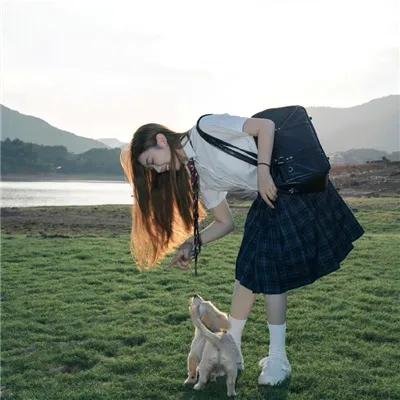 狐狸与猎狗