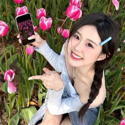 良陈美锦